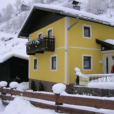 Ferienhaus Christine Taxenbach Buitenkant foto